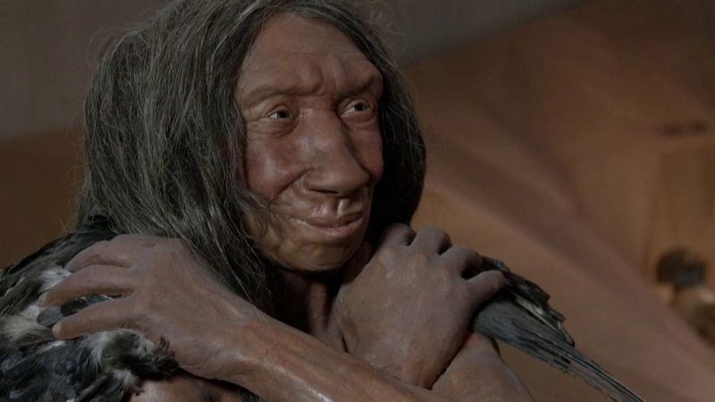 Arqueomanía - Neandertales, la otra humanidad - ver ahora