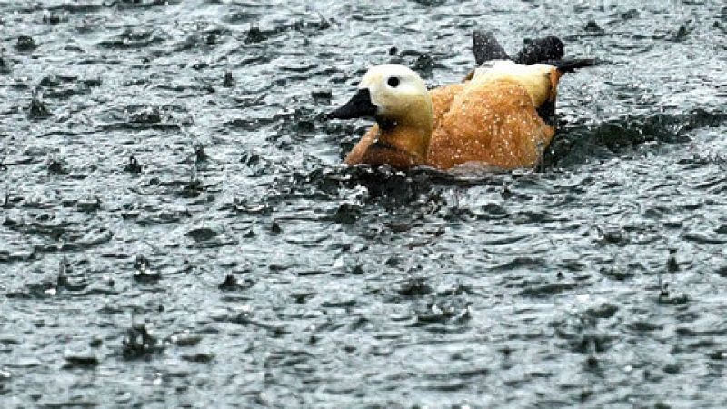 Temperaturas diurnas en ascenso y pocos cambios en el resto del país