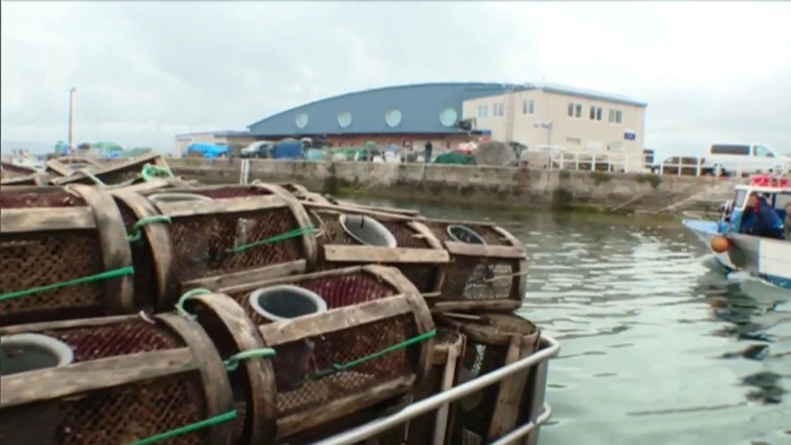 Agrosfera - 18/05/19 - ver ahora