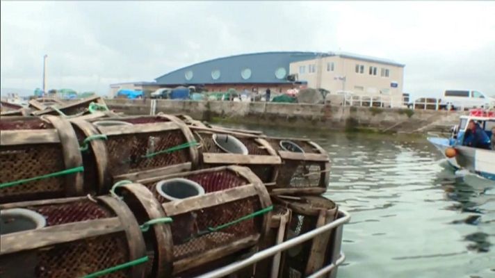 Agrosfera - Agrosfera - 18/05/19