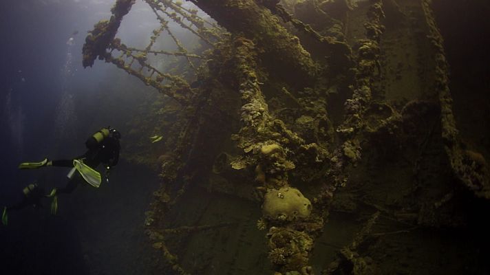 La noche temática - Oro, ambición universal - Avance