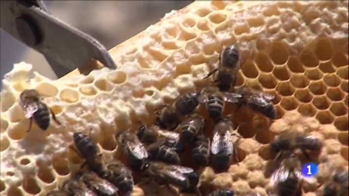 L'Informatiu - L'Informatiu - 20/05/2019