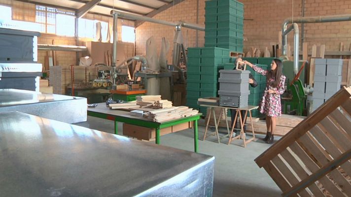 Aquí la Tierra - El carpintero de las abejas