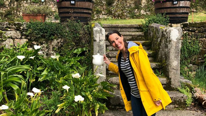 Aquí la Tierra - El té "made in" Galicia