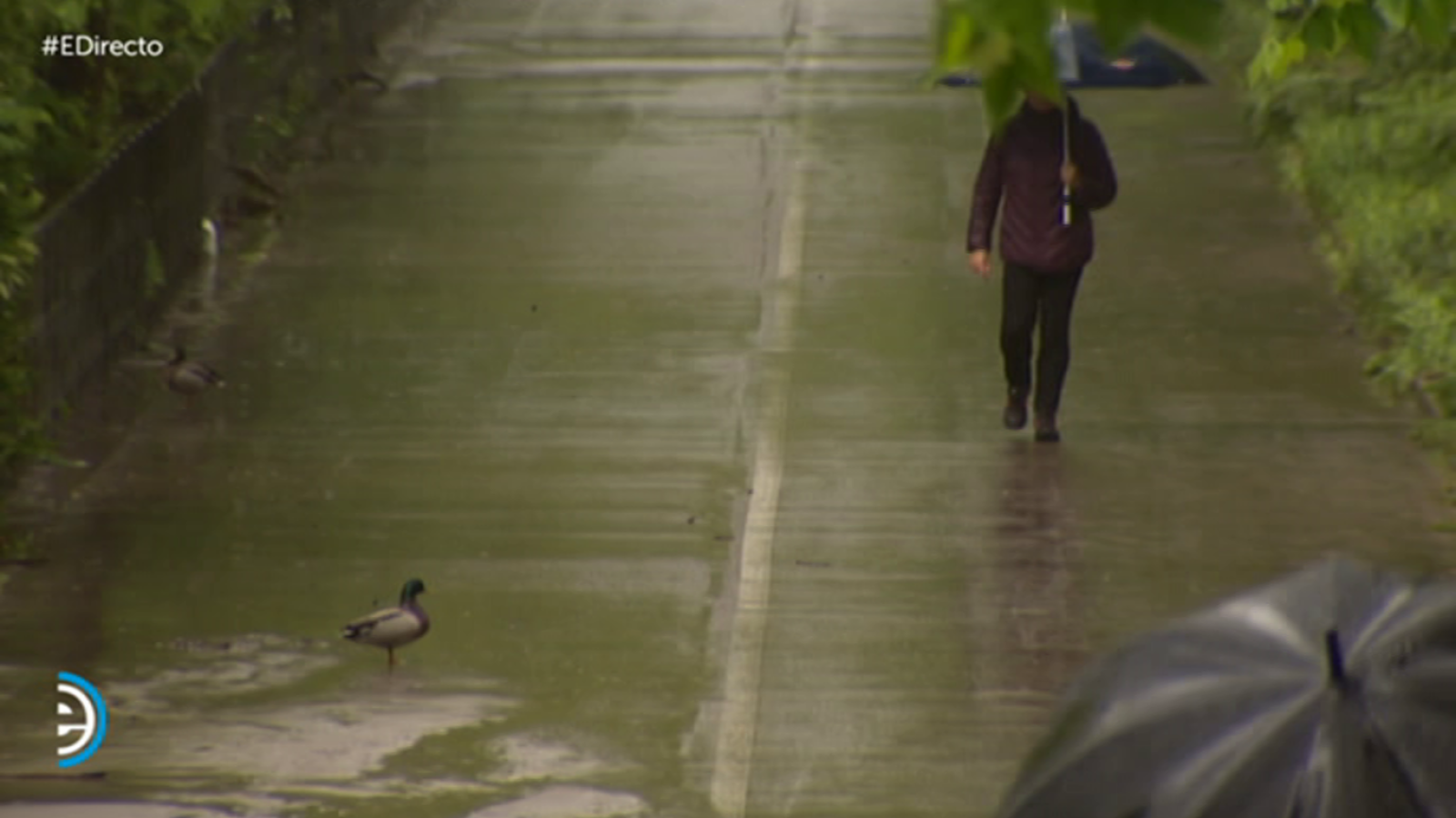 España Directo - 20/05/19 - ver ahora