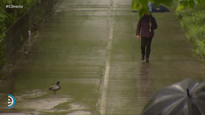 España Directo - España Directo - 20/05/19