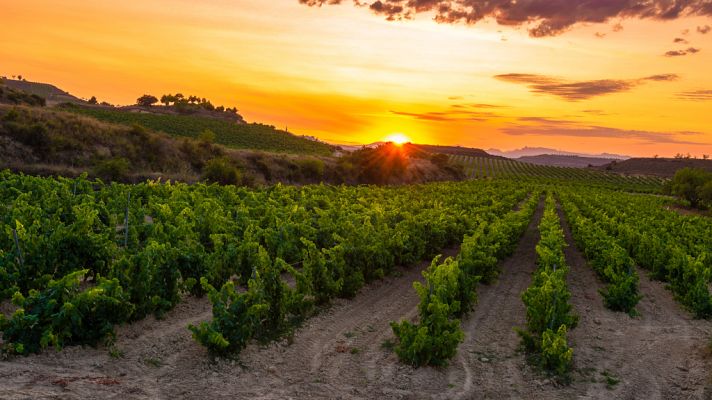 Subida de las temperaturas y cielos poco nubosos, salvo en el noreste