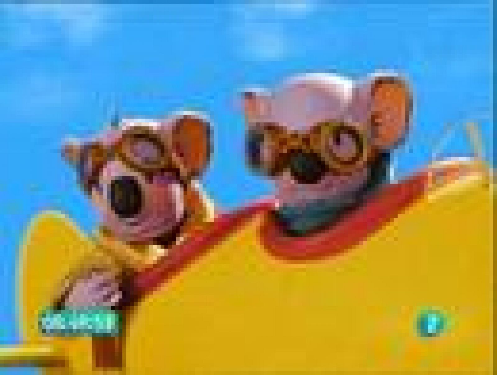 Sin programa: Los Hermanos Koala | RTVE Play