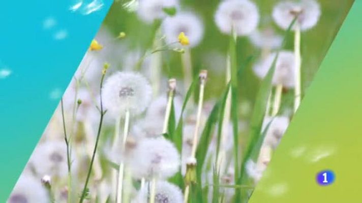 Telexornal - Galicia - El tiempo en Galicia - 21/05/19