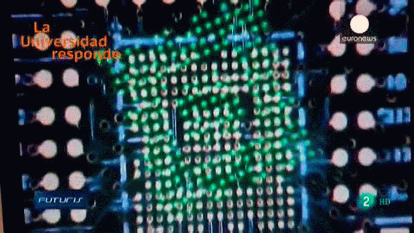 La aventura del saber La Universidad Responde. Universidad de Las Palmas de Gran Canaria: ¿Qué es la investigación multidisciplinar?