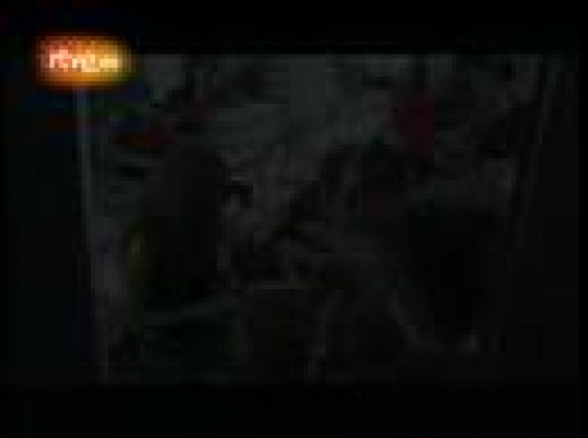  - Cómo se hizo el anuncio