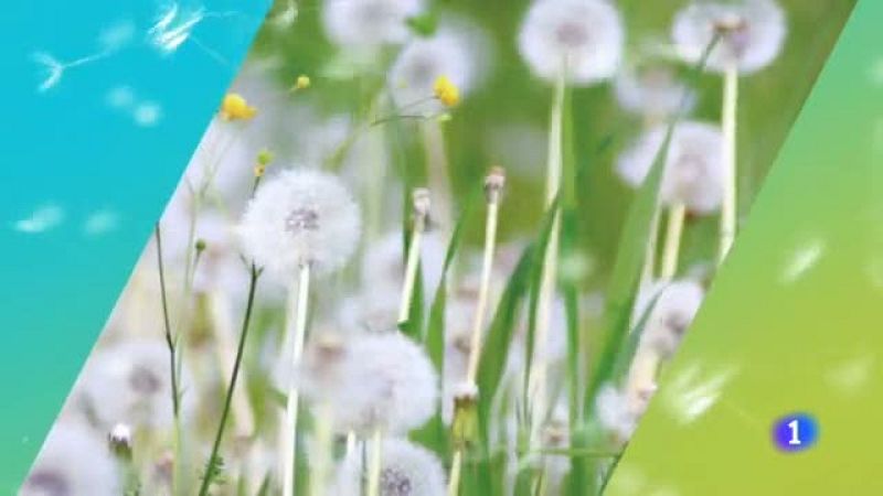  El tiempo en Cantabria - 22/05/19