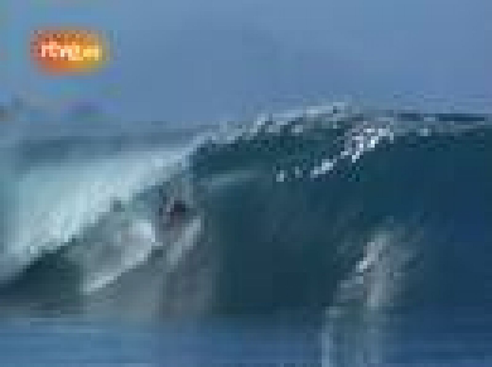 Sin programa: Haciendo surf en Indonesia | RTVE Play