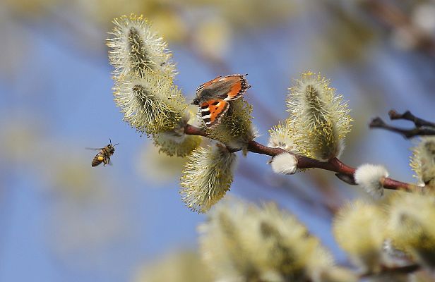 El tiempo - Cielo poco nuboso y temperaturas sin cambios en gran parte del país