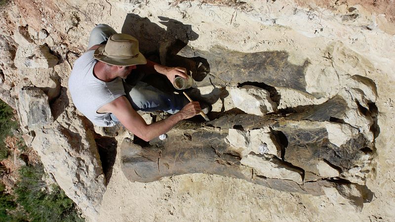 Los grandes dinosaurios habitaron Teruel cinco millones de años antes de lo que determinaron los primeros estudios. La diferencia obliga a revisar teorías y libros porque ya no son habitantes del Cretácico sino del Jurásico. Para este estudio de Dinó