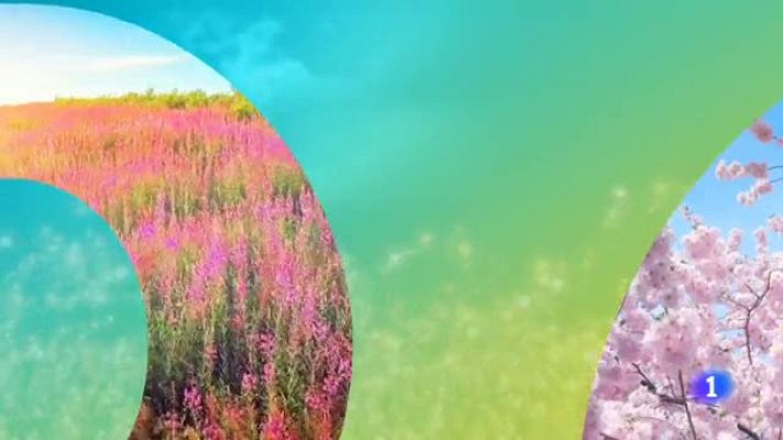 Informativo Telerioja - El tiempo en La Rioja - 24/05/19