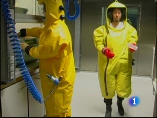  - La OMS se reúne por la Gripe A