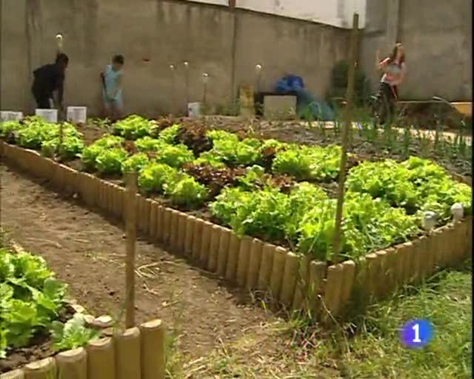 Telecantabria. Informativo de Cantabria - 11/06/2009