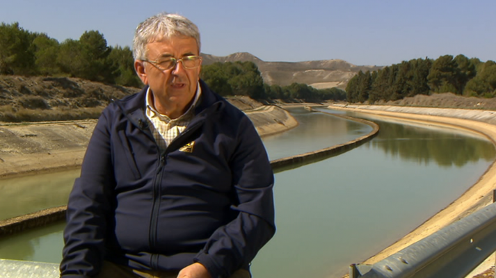 El escarabajo verde - 7 hab/Km2