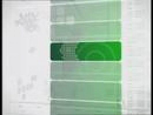 L'informatiu - Comunitat Valenciana - L'informatiu Comunitat Valenciana - 12/06/09