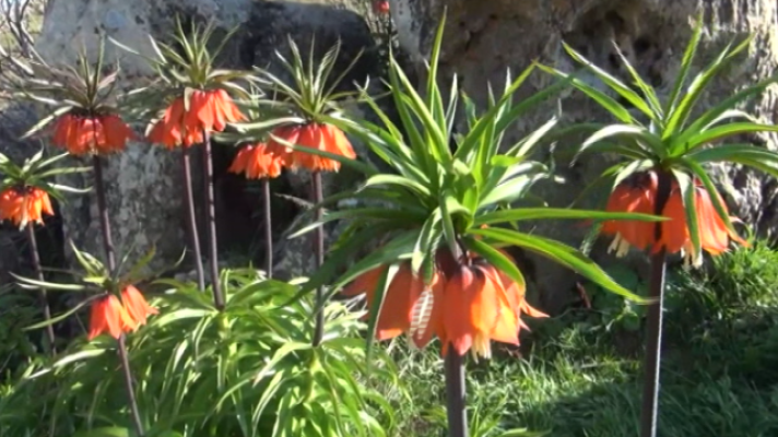 Teleplaneta - Teleplaneta - 27/05/2019