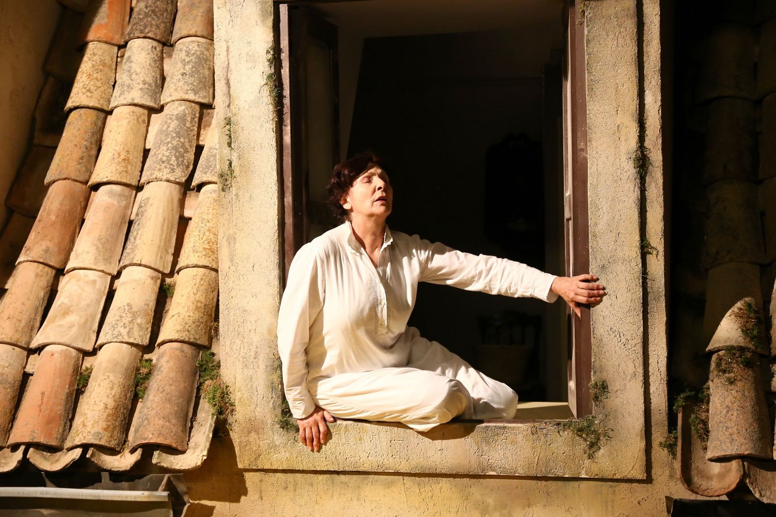 Acacias 38 - Capítulo 1020 - Ver ahora