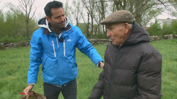 Aquí la Tierra - El ranking de la seta "que lo peta"