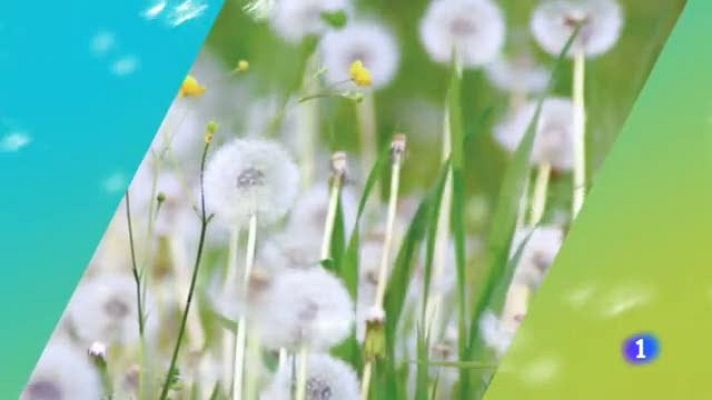 TeleCantabria - El tiempo en Cantabria - 28/05/19