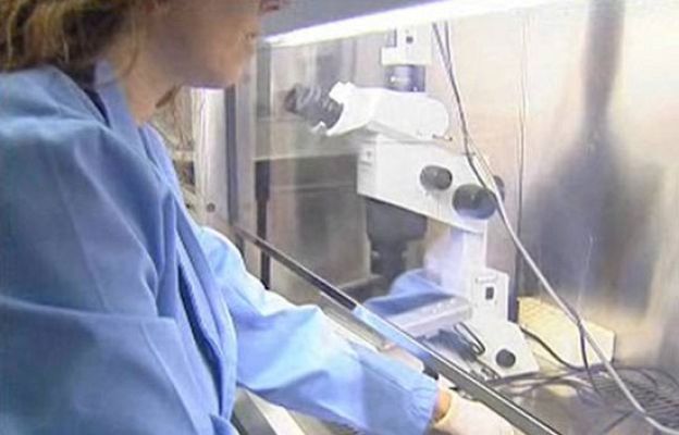 Informe Semanal - Medicina regenerativa