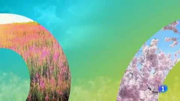 Telenorte - País Vasco - El tiempo en el País Vasco - 30/05/19