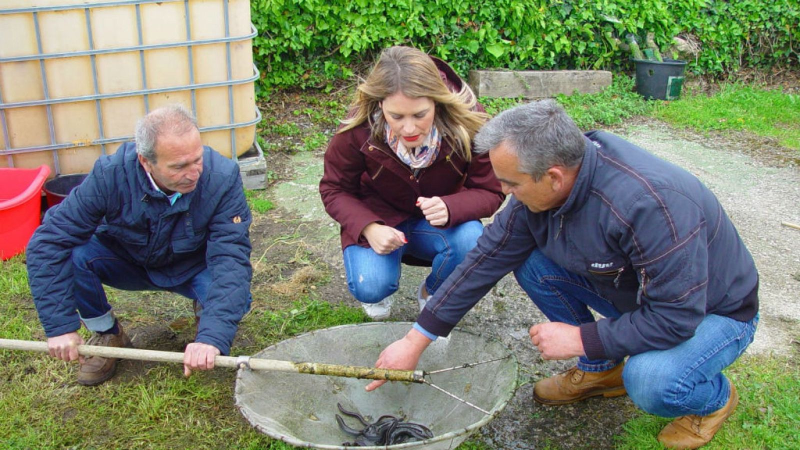 El primer anguilicultor de Cantabria