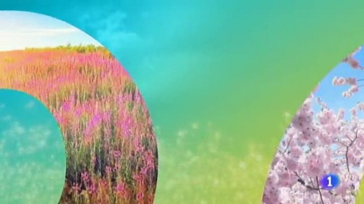 Noticias Murcia - El Tiempo en la Region de Murcia - 31/05/2019