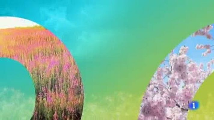 Telenorte - País Vasco - El tiempo en el País Vasco - 31/05/19