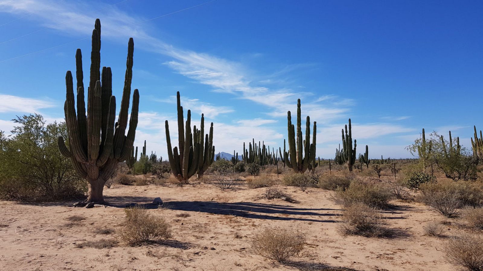 EE.UU. acusa a voluntarios por alimentar a inmigrantes en el desierto