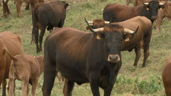 Aquí la Tierra - Aquí la Tierra - 31/05/19