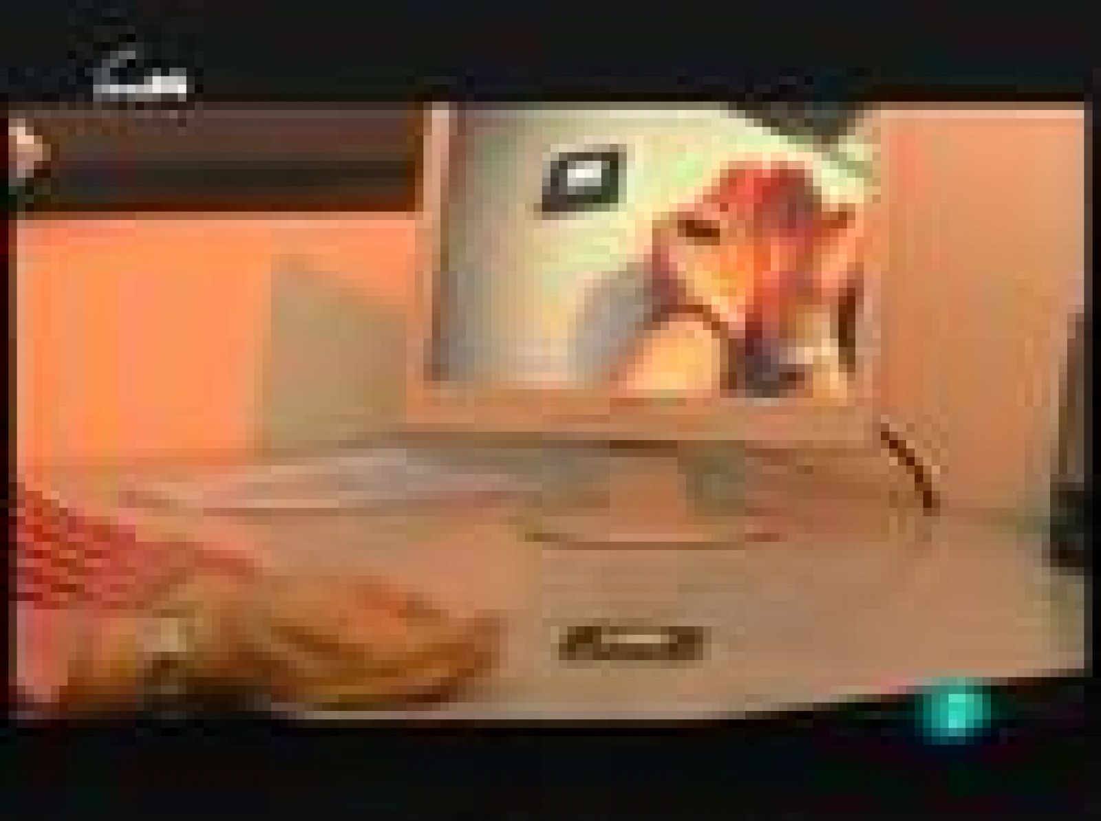 Curar el miedo (miedo)