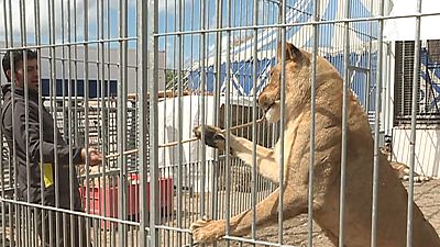 En el �Te acuerdas? nos fijamos en c�mo han evolucionado los circos