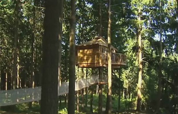  - Un hotel en lo alto de un árbol