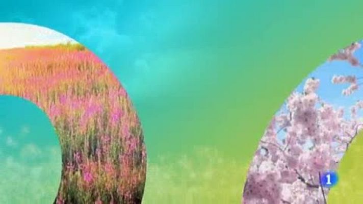 Telenorte - País Vasco - El tiempo en el País Vasco - 03/06/19