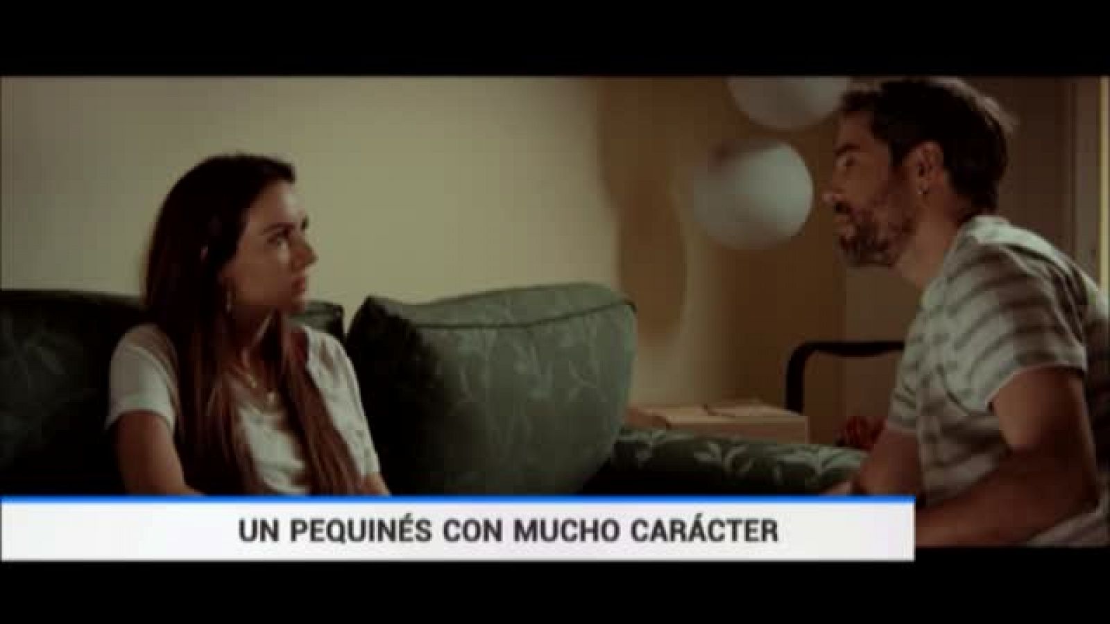 Telediario 1: 'La estategia del pequinés', cine negro canario | RTVE Play