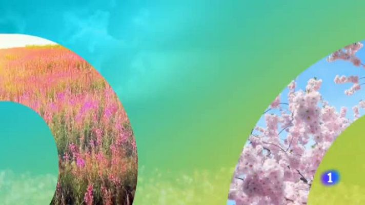 Noticias Aragón - El tiempo en Aragón - 04/06/2019