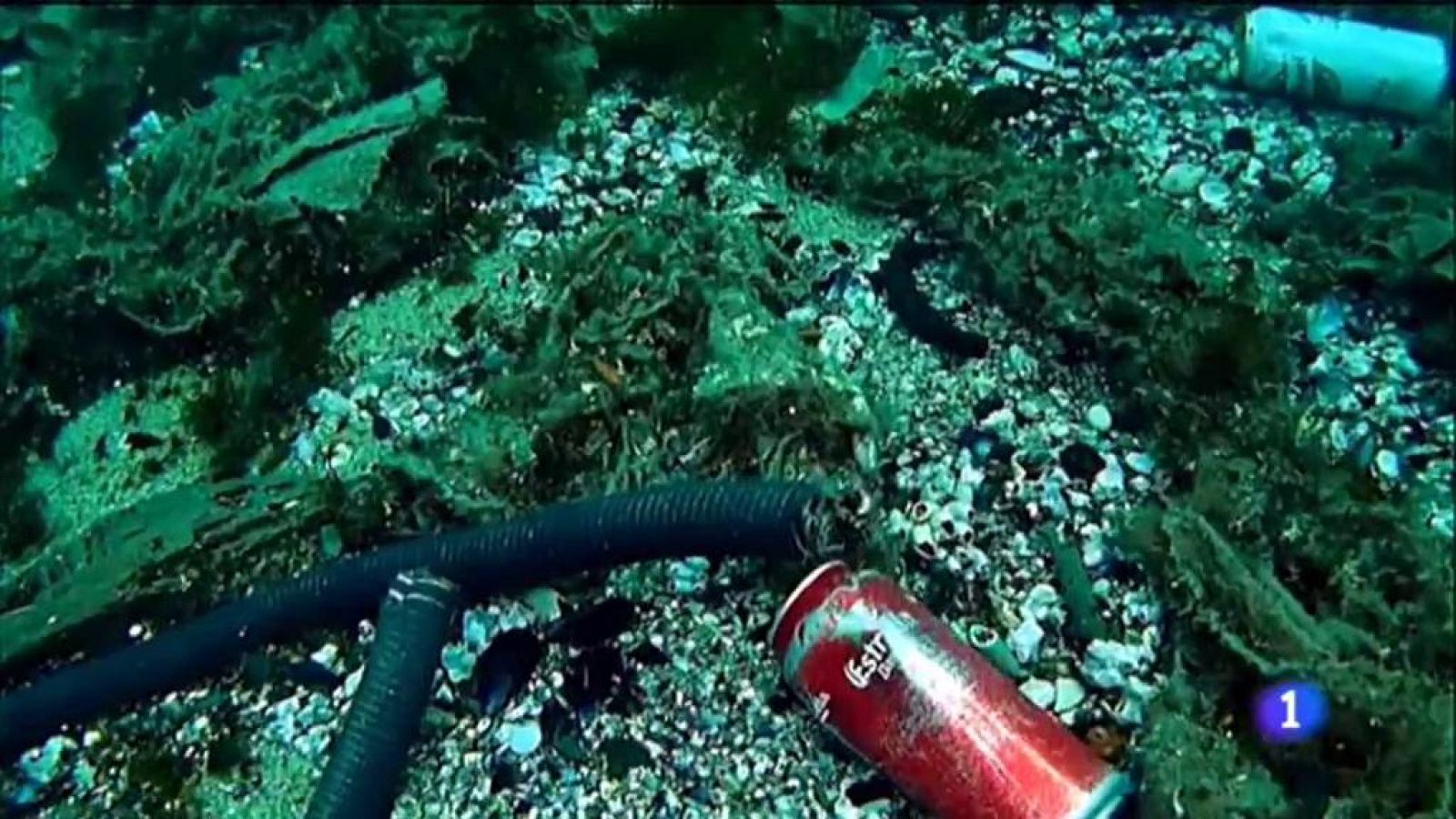 L'Informatiu - 05/06/2019