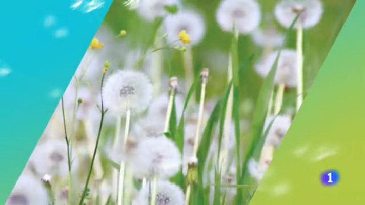 Noticias Aragón - El tiempo en Aragón - 05/06/2019