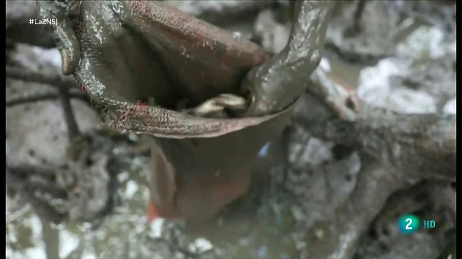 Mares llenos de basura