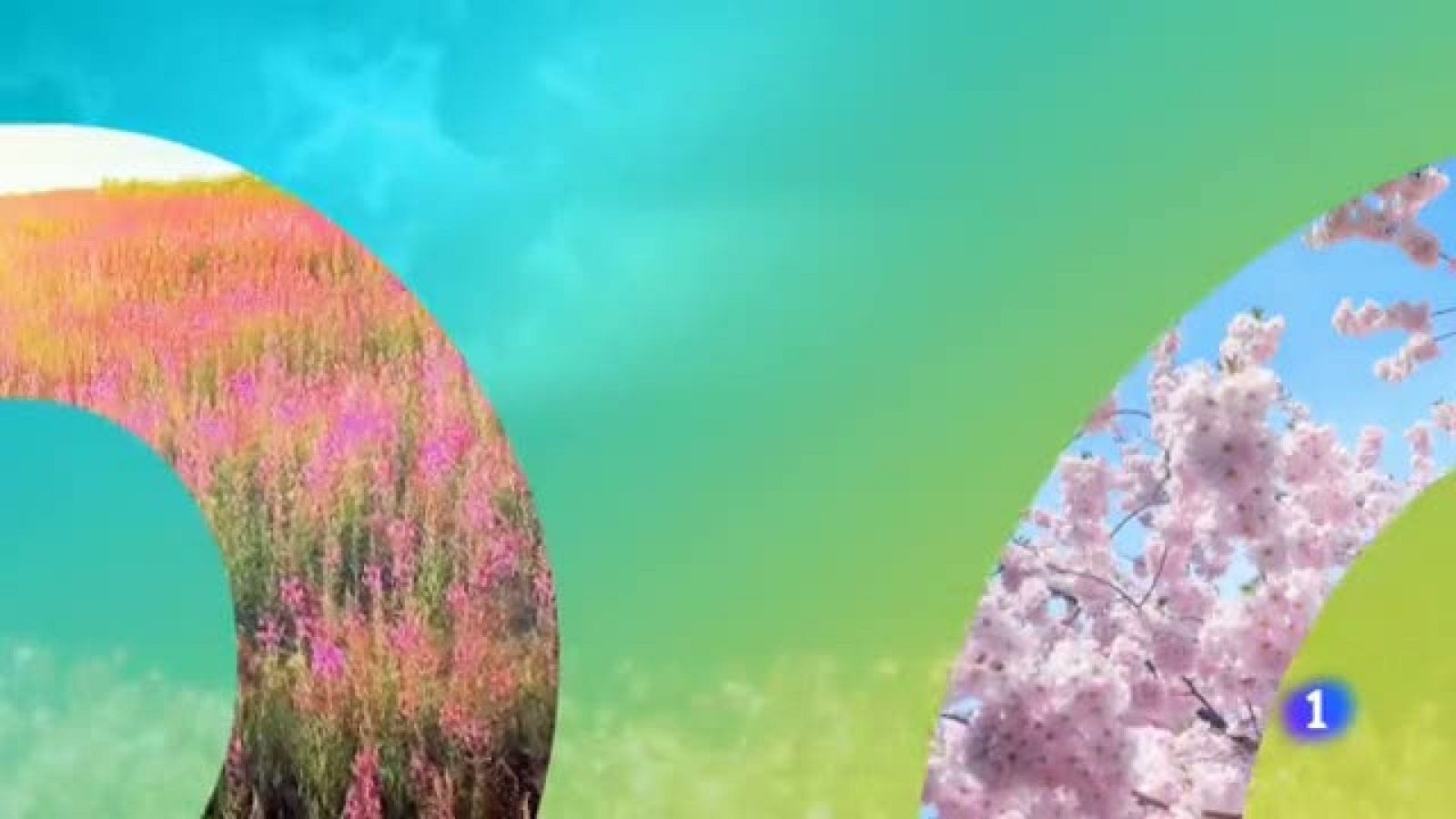 El tiempo en Aragón - 6/06/2019 | Ver