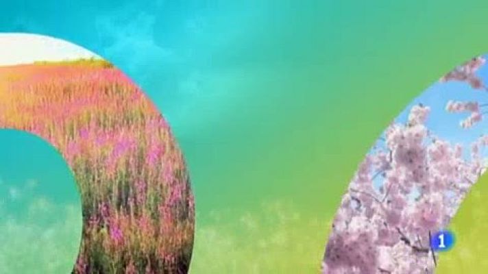 Telenorte - País Vasco - El tiempo en el País Vasco - 06/06/19