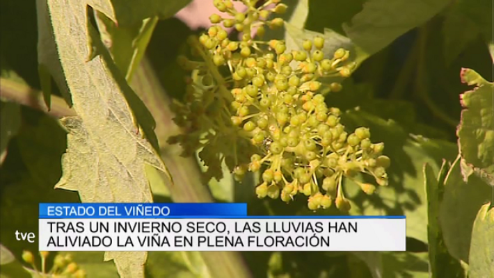 Informativo Telerioja - Informativo Telerioja 2 - 07/06/19