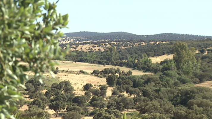 Agrosfera - 08/06/19