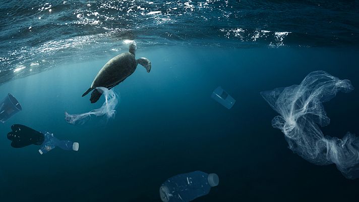 Millones de toneladas de plástico acaban en los océanos cada año