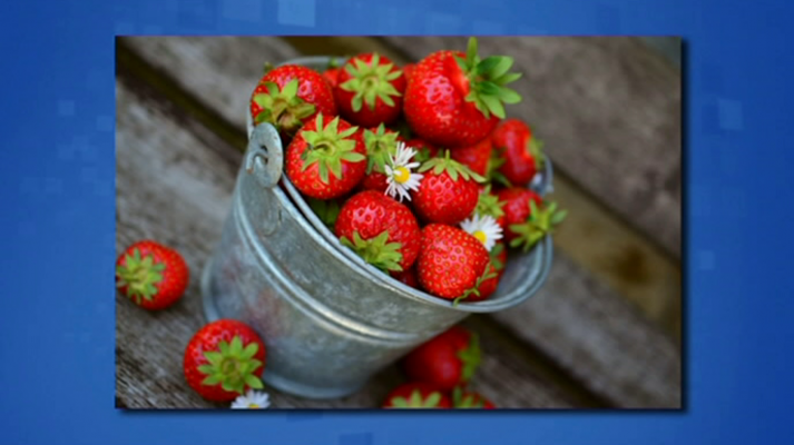 Saber y ganar - Saber y ganar. Edición de fin de semana - 08/06/19